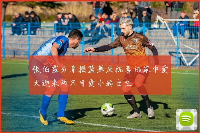 张伯霖分享摇篮舞庆祝喜讯家中爱犬迎来两只可爱小狗出生